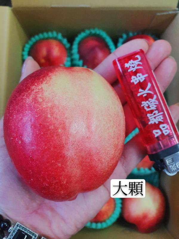 火燒蜜斑桃-甜蜜好吃 