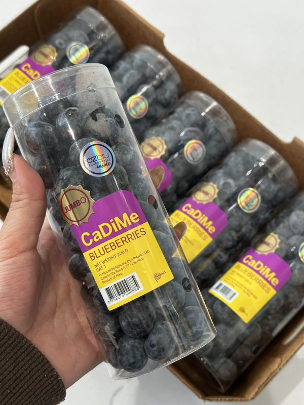 祕魯藍莓(管狀) 美國藍莓, 藍莓空運, 新鮮藍莓推薦, 進口藍莓, 冷藏藍莓宅配, 花青素水果, 健康水果, 藍莓團購, 藍莓禮盒, 小朋友適合的水果