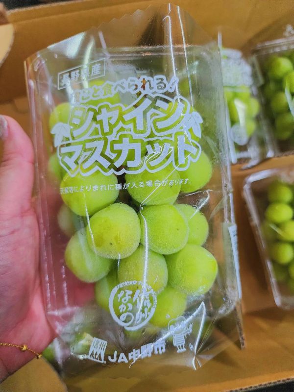 日本  麝香葡萄-PC盒 禮盒裝 