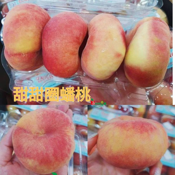 直播 美國甜甜圈-管狀蟠桃 