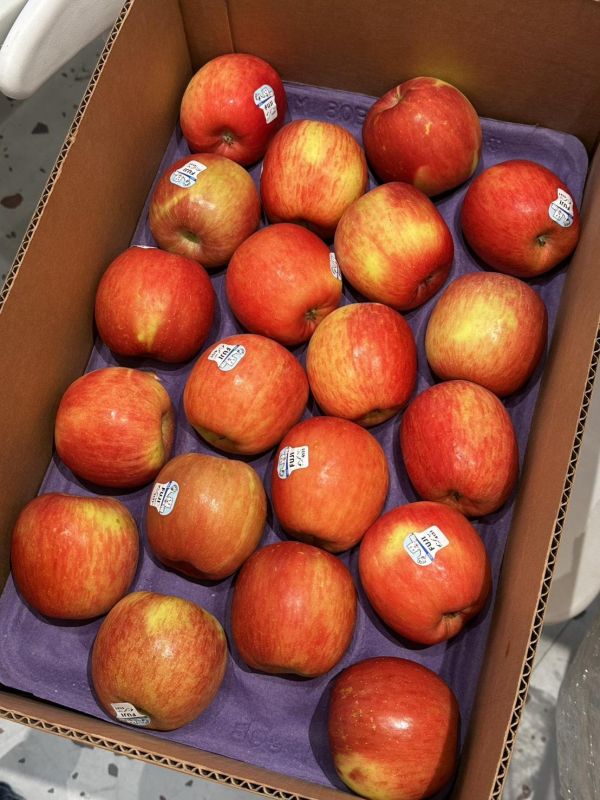 美國富士蘋果 - 脆口香甜 