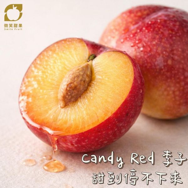 智利糖果李-螞蟻人最愛 智利糖果李,
Candy Red 李子,
高甜李子,
進口李子推薦,
甜李子不酸,
Smile水果,
微笑甜果,
小魚水果,
螞蟻人水果,
多汁水果推薦