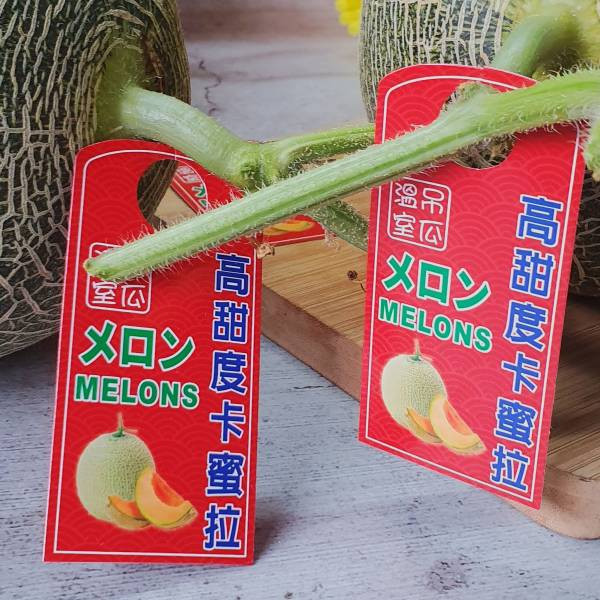 台灣溫室卡蜜拉哈蜜瓜 台灣卡蜜拉哈密瓜,
卡蜜拉哈密瓜,
台灣哈密瓜推薦,
溫室哈密瓜,
高甜度哈密瓜,
送禮水果推薦,
Smile水果,
水果宅配