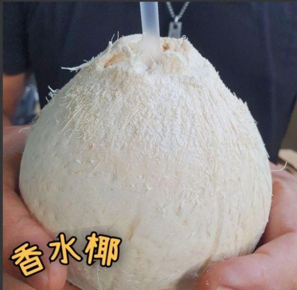 (現貨)香水椰 芋頭香//很甜/ 