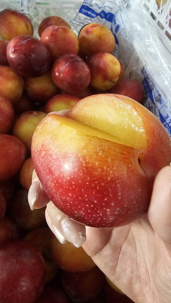 智利糖果李-螞蟻人最愛 智利糖果李,
Candy Red 李子,
高甜李子,
進口李子推薦,
甜李子不酸,
Smile水果,
微笑甜果,
小魚水果,
螞蟻人水果,
多汁水果推薦