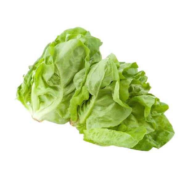碧蘿村有機奶油A菜200g-全素 