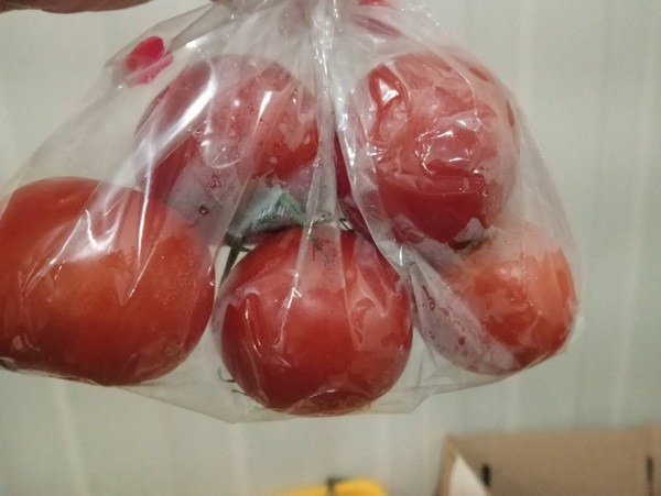 有機高山牛番茄450-500g 