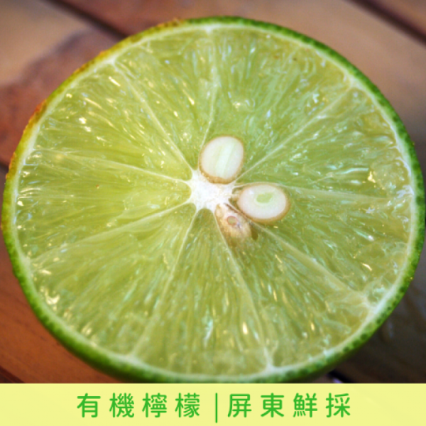 清淨生活有機檸檬XS 