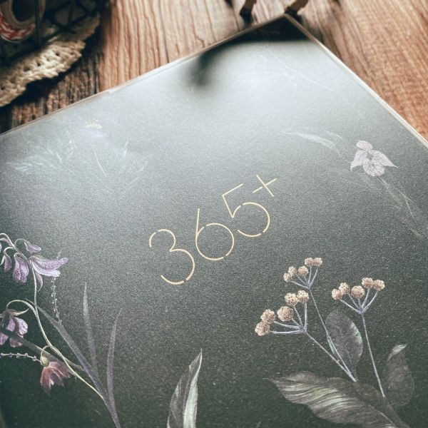 365好好記 [GT聯名款] 無時效,365好好記,迪夢奇,手帳,dimanche