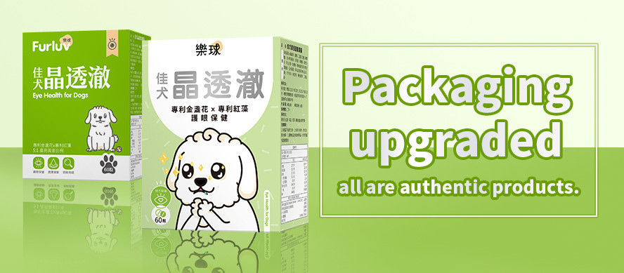 For Dogs - BHK's x UNIQMAN Singapore Official Website