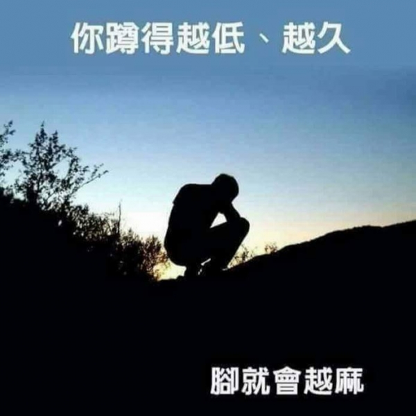 蓓歐芙 