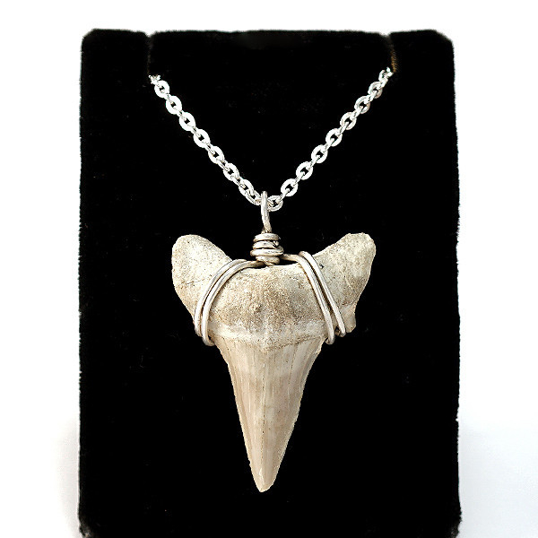 限定項鍊-巨齒鯊 配2.5mm鍊 太空人