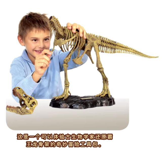 Geoworld Dr.STEVE HUNTERS 恐龍骨架 霸王龍模型 