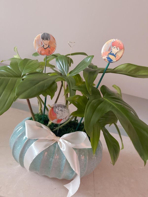 客製化角色盆栽 花店 鮮花 禮物 客製 植栽