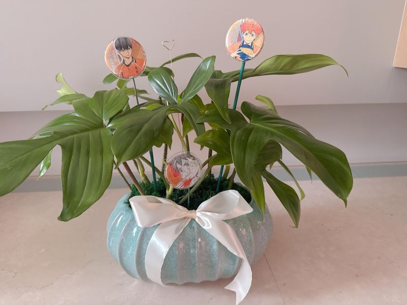 客製化角色盆栽 花店 鮮花 禮物 客製 植栽
