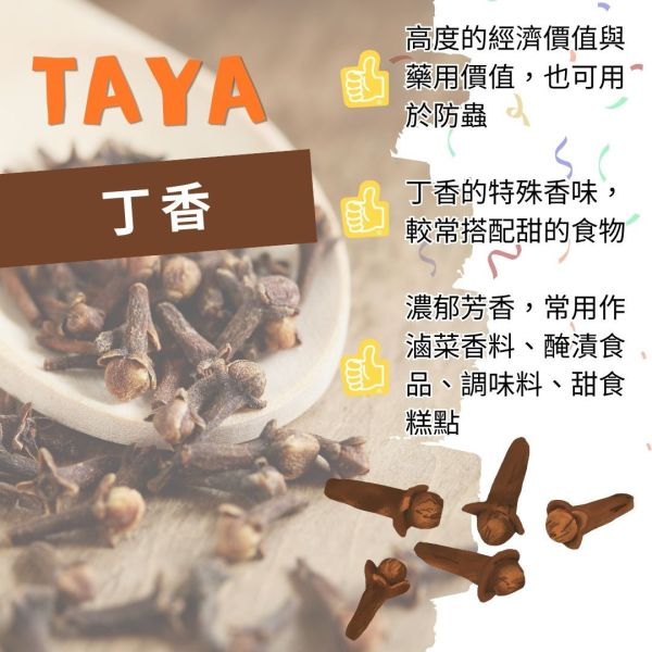 TAYA丁香 丁香