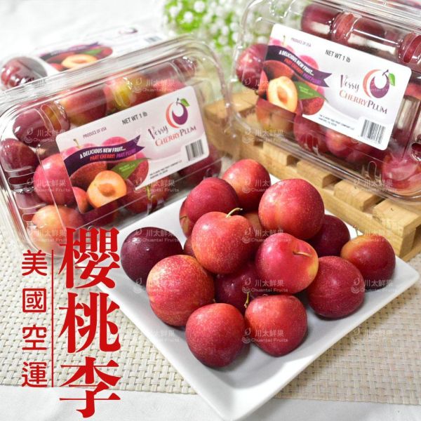 美國-櫻桃李(李子)、2小盒入/組(免運) 恐龍蛋,李子,甜李,脆李,進口水果,水果,水果禮盒,櫻桃李,美國櫻桃李,美國加州櫻桃李