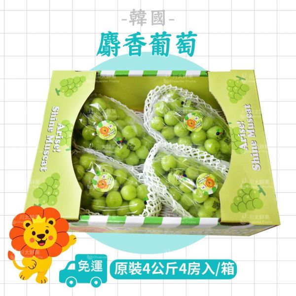 韓國麝香葡萄、原裝4公斤4房入/箱、禮盒2房入/盒(免運) 麝香葡萄,水果禮盒,韓國水果,送禮,空運水果