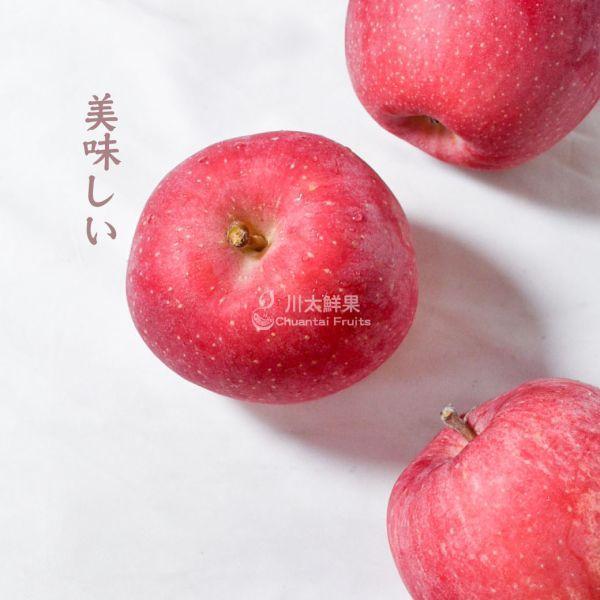 日本青森-套袋富士(smart fresh)、多規格(免運) 日本青森蘋果,套袋富士蘋果,日本蘋果,進口蘋果,無臘蘋果,新鮮水果,好吃水果,健康水果,水果家庭號,優質水果