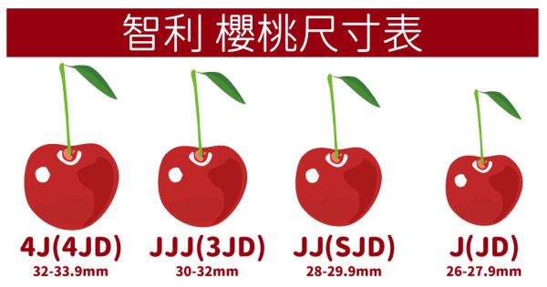 智利空運-櫻桃、2JD/1KG(免運) 智利櫻桃,空運櫻桃,綠梗,酸甜多汁,空運水果,進口水果