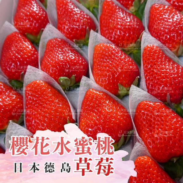 日本空運-德島櫻花水蜜桃草莓、日本原裝盒(免運) 日本草莓,德島勝占糖蜜草莓,三色,三色草莓,草莓,進口水果,水果禮盒,好吃的草莓,空運草莓,日本水果,糖蜜草莓,勝占草莓,日本德島草莓,櫻桃草莓,日本德島櫻桃草莓,日本國內頂級草莓,櫻花水蜜桃草莓