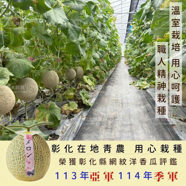 嚴選台灣小農-頂級阿露斯網紋哈密瓜、禮盒1顆入(免運) 溫室哈密瓜,綠肉,哈密瓜,網紋哈密瓜,頂級水果,頂級哈密瓜,熊本縣,熊本