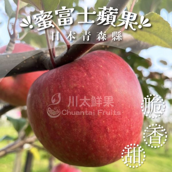 日本青森縣-蜜富士蘋果、多規格(免運) 日本青森蘋果,蜜富士蘋果,日本蘋果,進口蘋果,無臘蘋果,新鮮水果,好吃水果,健康水果,水果家庭號,優質水果