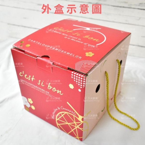 嚴選台灣小農-頂級阿露斯網紋哈密瓜、禮盒1顆入(免運) 溫室哈密瓜,綠肉,哈密瓜,網紋哈密瓜,頂級水果,頂級哈密瓜,熊本縣,熊本