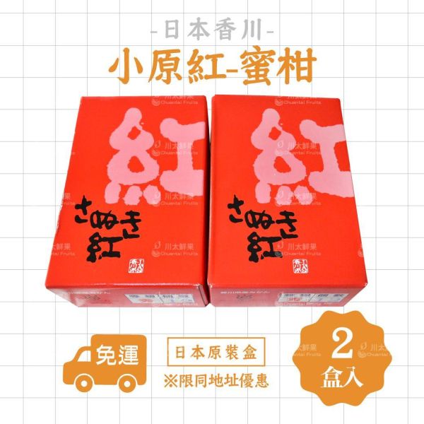 日本香川縣-{小原紅}蜜柑、日本原裝12顆入/盒、同地址優惠(免運) 日本才色果實,日本和歌山蜜柑,日本溫室蜜柑,日本蜜柑,小原紅蜜柑,香川蜜柑,日本蜜柑禮盒,頂級蜜柑
