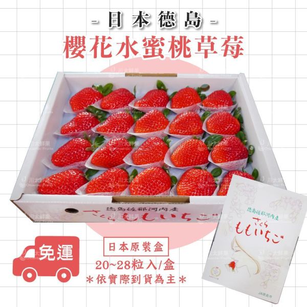 日本空運-德島櫻花水蜜桃草莓、日本原裝盒(免運) 日本草莓,德島勝占糖蜜草莓,三色,三色草莓,草莓,進口水果,水果禮盒,好吃的草莓,空運草莓,日本水果,糖蜜草莓,勝占草莓,日本德島草莓,櫻桃草莓,日本德島櫻桃草莓,日本國內頂級草莓,櫻花水蜜桃草莓