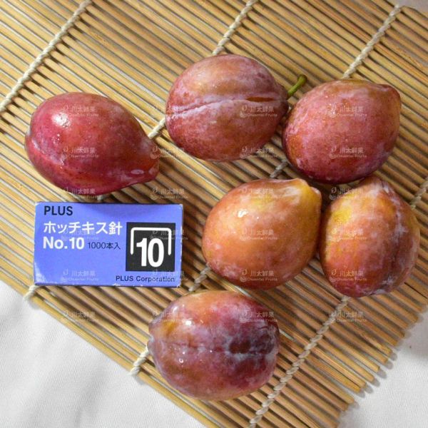 【限時特價】智利-蜜棗李、原封5KG/件(免運) 櫻桃李,李子,甜李,脆李,進口水果,水果,水果禮盒,蜜棗李,蜜李,蜜甜李