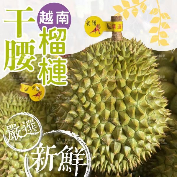 越南-干堯榴槤-(正A果)原裝3~4顆入/箱(免運)(現貨+預購) 越南干腰榴槤,干腰榴槤,越南榴槤,干腰,榴槤,干堯