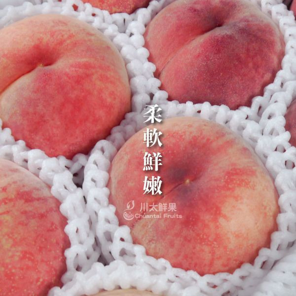 日本-空運長野志賀水蜜桃、原裝15~16顆入/箱(免運) 日本長野信州水蜜桃,水蜜桃,日本桃,空運水果,日本水果,水果宅配