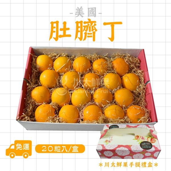 美國-肚臍丁、20粒入/盒(免運) 美國無籽肚臍丁,肚丁,橘子,柑橘,蜜柑,肚臍丁