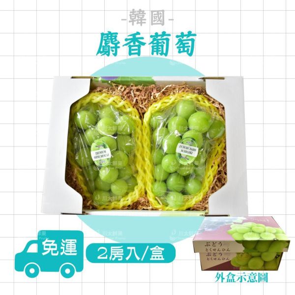 韓國麝香葡萄、1房入/盒、2房入/盒(免運) 麝香葡萄,水果禮盒,韓國水果,送禮,空運水果