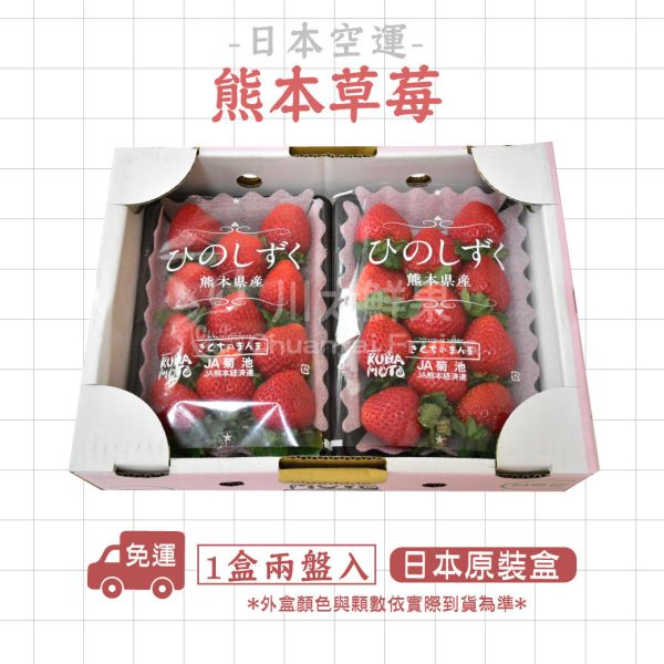 日本空運-熊本草莓(免運)少量現貨+預購、日本原裝一盒兩小盤入 日本草莓,熊本草莓,草莓,進口水果,水果禮盒,好吃的草莓,空運草莓,日本水果