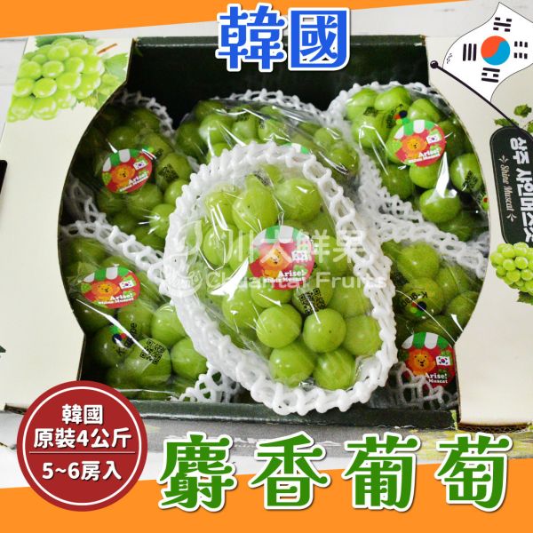 韓國麝香葡萄、原裝4KG．5~6房入/箱(免運) 麝香葡萄,水果禮盒,韓國水果,送禮,空運水果