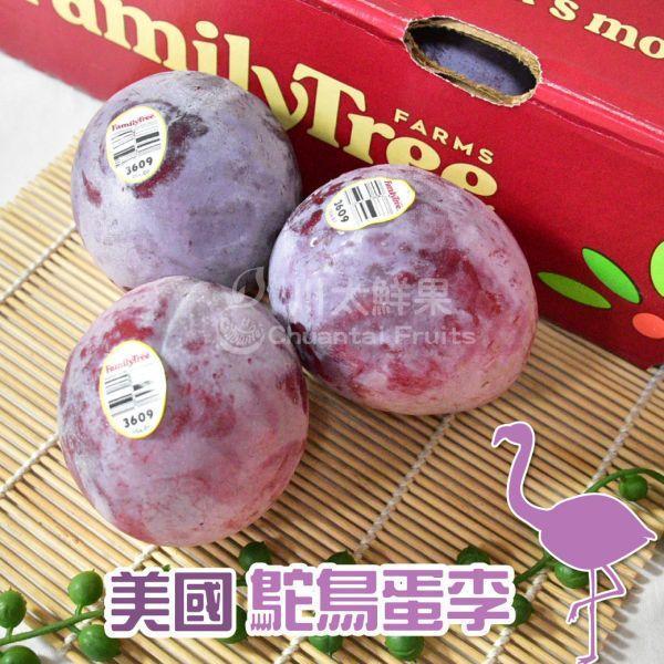 美國-鴕鳥蛋(李子)、原裝25顆入/箱(免運) 恐龍蛋,李子,甜李,脆李,進口水果,水果,水果禮盒