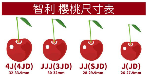 智利海運-櫻桃、2JD-1.8KG(免運) 智利櫻桃,櫻桃,綠梗,酸甜多汁,水果,進口水果