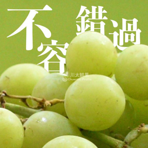 美國-秋脆無籽葡萄-2袋入/盒(免運) 加州葡萄,綠無籽,脆甜,綠寶石葡萄,進口葡萄,進口水果,美國葡萄,水果禮盒,送禮,