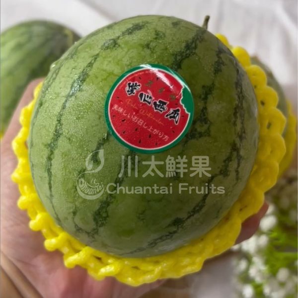 嚴選台灣-掌心小西瓜、6小顆入/盒(免運) 瓜,頂級水果,頂級哈密瓜,西瓜,掌心小西瓜,迷你西瓜,