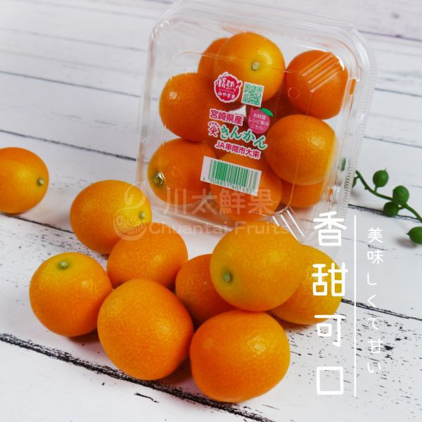 日本空運-宮崎縣金桔、6小盒入/組(免運) 宮崎縣金桔,日本金桔,金桔禮盒,溫室金桔,日本水果,日本空運水果