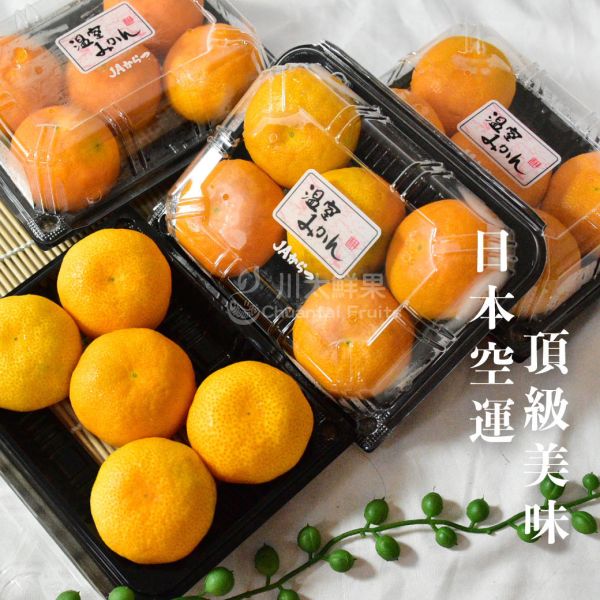 日本空運-佐賀唐津溫室蜜柑-3小盒入/組(免運) 日本,佐賀,蜜柑,日本佐賀小蜜柑,溫室蜜柑,溫室,唐津蜜柑,唐津