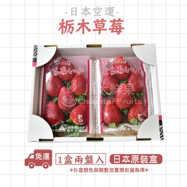 日本空運-栃木草莓(免運)少量現貨+預購、日本原裝一盒兩小盤入 天空草莓,栃木,栃木草莓,日本草莓,熊本草莓,草莓,進口水果,水果禮盒,好吃的草莓,空運草莓,日本水果,日本草莓產季,日本常見草莓