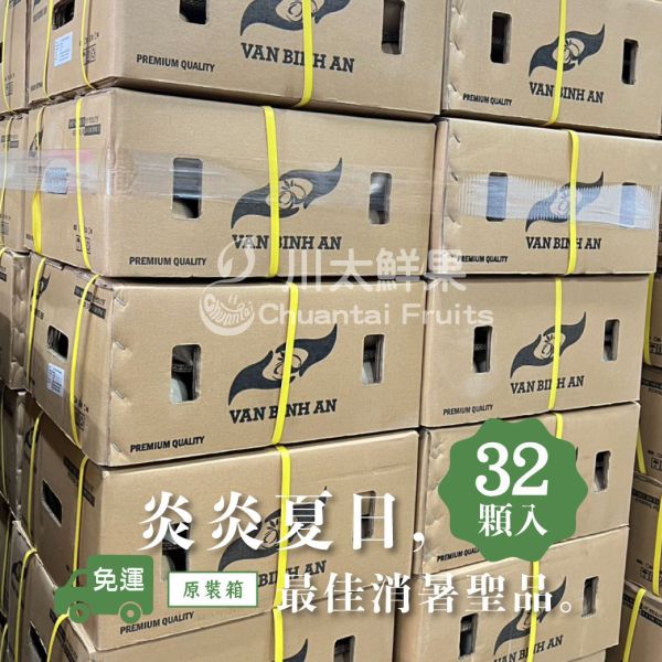 越南-剝殼椰子、12顆&6顆入/盒、原裝32顆入/件(免運) 越南椰子,剝殼椰子,進口椰子,椰子汁,椰奶