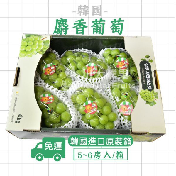 韓國麝香葡萄、原裝4KG．5~6房入/箱(免運) 麝香葡萄,水果禮盒,韓國水果,送禮,空運水果