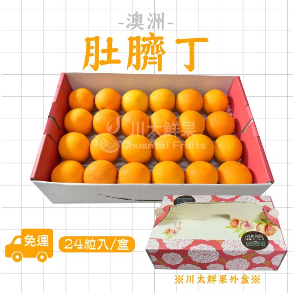 澳洲-肚臍丁、24顆入/盒(免運) 無籽肚臍丁,肚丁,橘子,柑橘,蜜柑,肚臍丁
