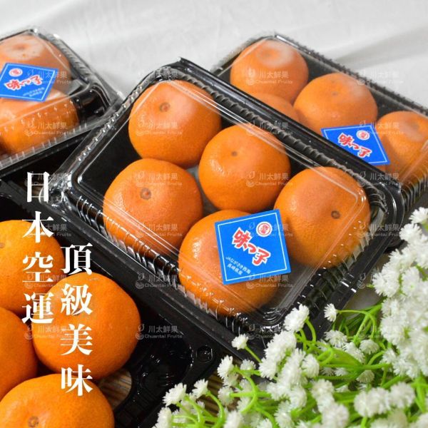 日本空運-長崎西海蜜柑-3小盒入/組(免運) 日本,佐賀,蜜柑,日本佐賀小蜜柑,溫室蜜柑,溫室,唐津蜜柑,唐津,西海蜜柑,長崎蜜柑