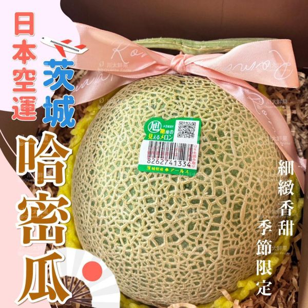 日本空運-茨城哈密瓜、禮盒1顆入/盒(免運) 日本北海道哈密瓜,溫室哈密瓜,綠肉,哈密瓜,網紋哈密瓜,日本水果,空運水果,日本果物,頂級水果,頂級哈密瓜,熊本縣,熊本,日本伴手禮,日本茨城哈密瓜