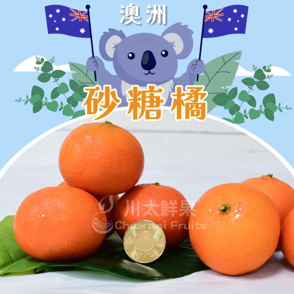 澳洲-砂糖橘、3盒入/組(免運) 砂糖橘,小橘子,暴甜橘,迷你砂糖橘,進口砂糖橘,小禮盒,母親節,送禮,優質水果